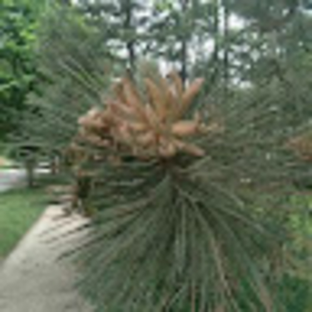 Meet your Posher, Ingrid